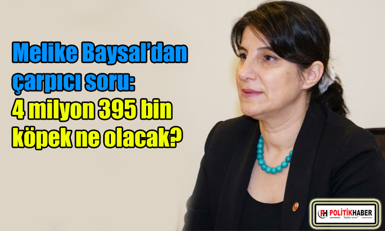 Baysal: 4 milyon 395 bin köpek ne olacak?