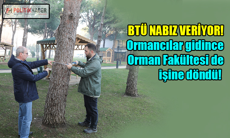 BTÜ’den orman envanterine katkı sağlayacak proje!