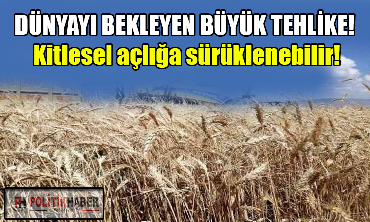 Dünyayı bekleyen büyük tehlike!