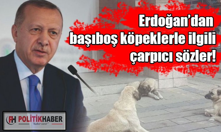 Erdoğan o kanayan yaraya parmak bastı!