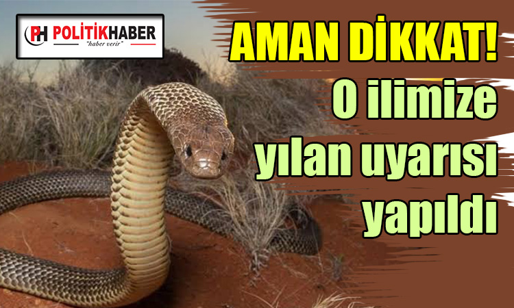 O ilimize zehirli yılan uyarısı yapıldı!