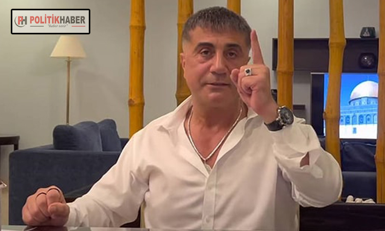 Sedat Peker parti mi kuracak?