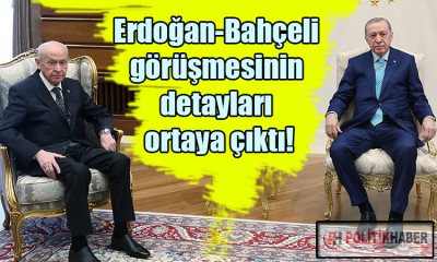 Erdoğan ve Bahçeli'nin ne görüştüğü ortaya çıktı!