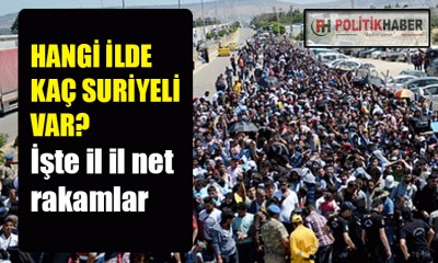 Türkiye'de kaç Suriyeli var?